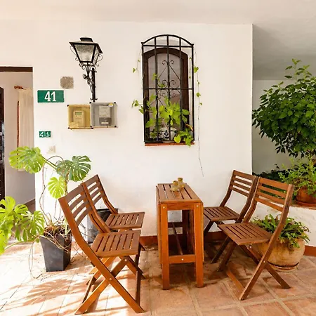 Mandarinos San Juan De Capistrano Nerja
